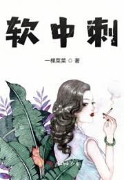 软中刺小说阅读