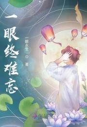 一眼终难忘小说阅读