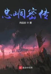 忠峒密传小说阅读