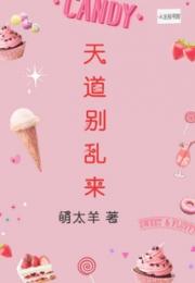天道别乱来小说阅读