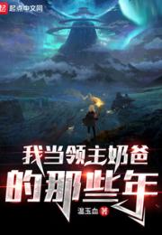 我当领主奶爸的那些年小说阅读