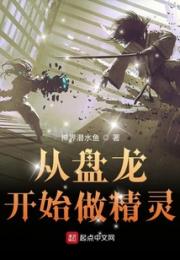 从盘龙开始做精灵小说阅读