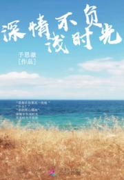 深情不负浅时光小说阅读