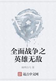 全面战争之英雄无敌小说阅读