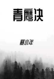 青鹰决小说阅读