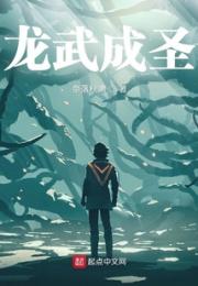 龙武成圣小说阅读