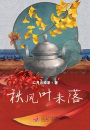 秋风叶未落小说阅读