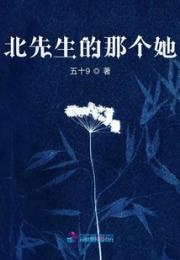 北先生的那个她小说阅读