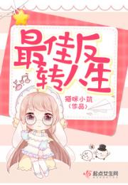 最佳反转人生小说阅读