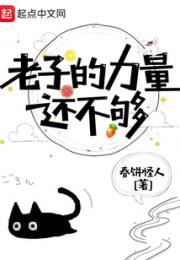 老子的力量还不够小说阅读