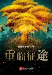 重临征途小说阅读