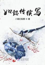 如懿传续写小说阅读