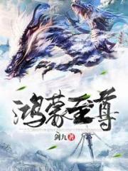 鸿蒙至尊小说阅读