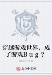 穿越游戏世界，成了游戏Bug？小说阅读