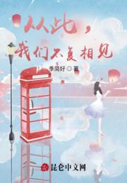 从此，我们不复相见小说阅读