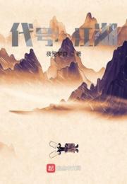 代号：江湖小说阅读