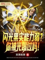 闪光果实能力弱？你被光踢过吗！小说阅读