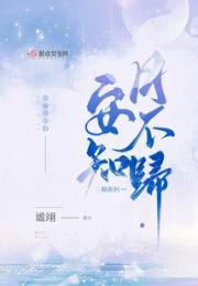 安知月不归小说阅读