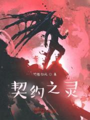 契约之灵小说阅读