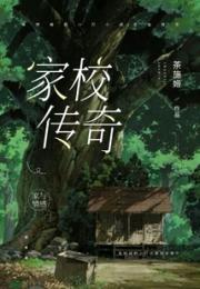 家校传奇小说阅读
