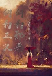 何为正义，何为邪恶小说阅读