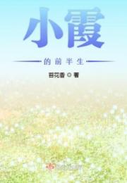 小霞的前半生小说阅读