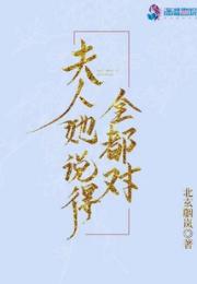 夫人她说得全都对小说阅读