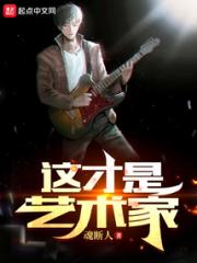 这才是艺术家小说阅读