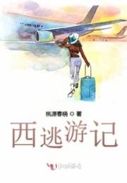 西逃游记小说阅读