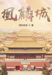 凰麟城小说阅读
