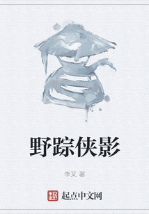 野踪侠影小说阅读