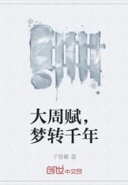 大周赋，梦转千年小说阅读