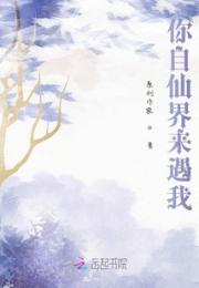 你自仙界来遇我小说阅读