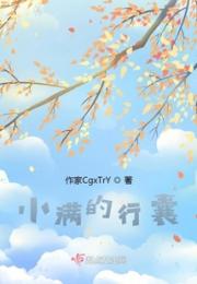 小满的行囊小说阅读