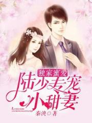 独家蜜爱：陆少专宠小甜妻小说阅读