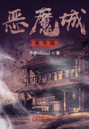 恶魔城，光与暗小说阅读