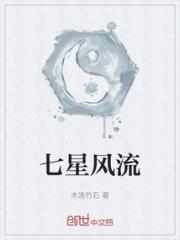 七星风流小说阅读