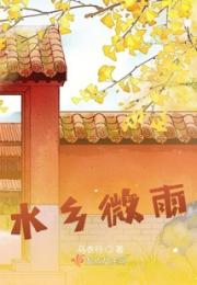 水乡微雨小说阅读