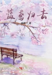 蓝鸢归去小说阅读