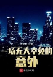 一场无人幸免的意外小说阅读
