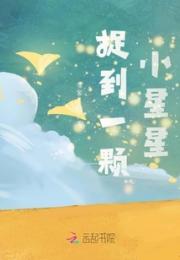 捉到一颗小星星小说阅读