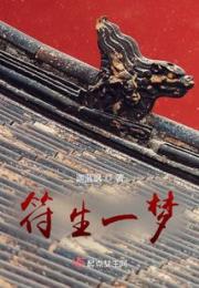 符生一梦小说阅读