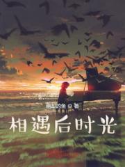 相遇后时光小说阅读
