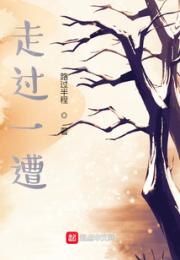 走过一遭小说阅读