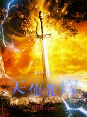 天使光辉小说阅读