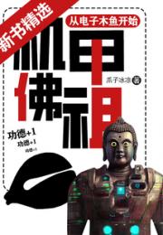 机甲佛祖：从电子木鱼开始小说阅读