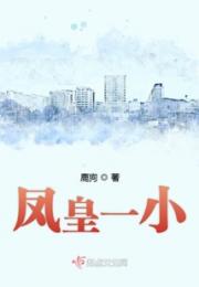 凤皇一小