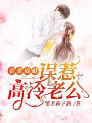惹爱成婚：误惹高冷老公小说阅读