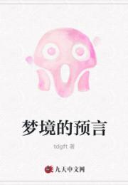 梦境的预言小说阅读