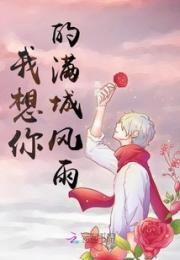 我想你的满城风雨小说阅读
